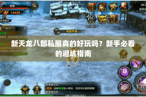 新天龙八部私服真的好玩吗？新手必看的避坑指南