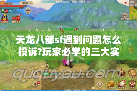 天龙八部sf遇到问题怎么投诉?玩家必学的三大实战技巧