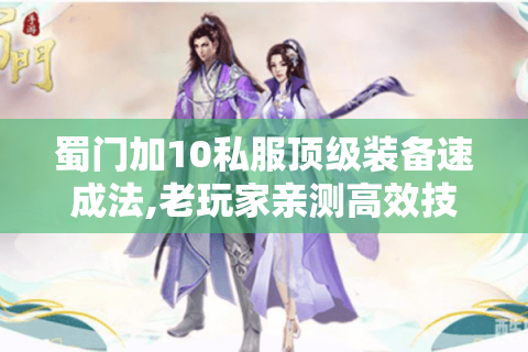 蜀门加10私服顶级装备速成法,老玩家亲测高效技巧