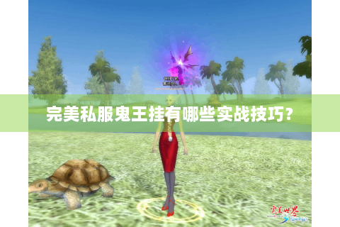 完美私服鬼王挂有哪些实战技巧？