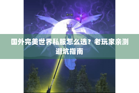 国外完美世界私服怎么选？老玩家亲测避坑指南