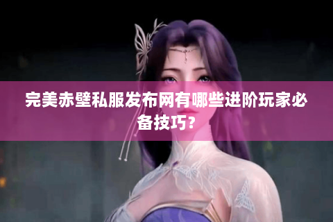 完美赤壁私服发布网有哪些进阶玩家必备技巧？