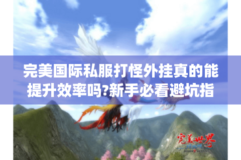 完美国际私服打怪外挂真的能提升效率吗?新手必看避坑指南
