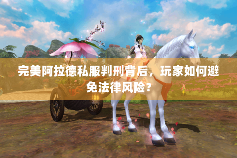 完美阿拉德私服判刑背后，玩家如何避免法律风险？