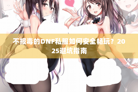 不报毒的DNF私服如何安全畅玩？2025避坑指南