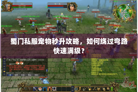 蜀门私服宠物秒升攻略，如何绕过弯路快速满级？