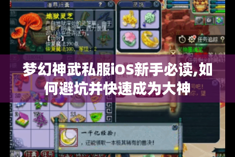 梦幻神武私服iOS新手必读,如何避坑并快速成为大神