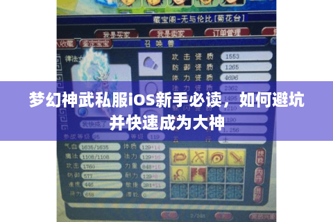 梦幻神武私服iOS新手必读，如何避坑并快速成为大神