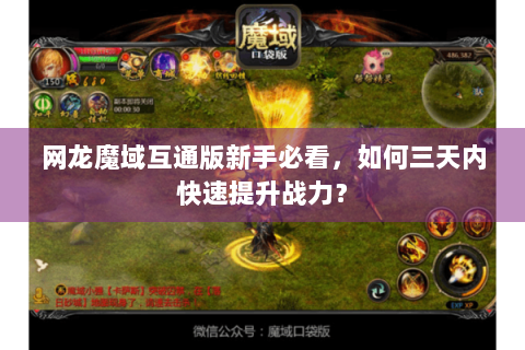 网龙魔域互通版新手必看，如何三天内快速提升战力？