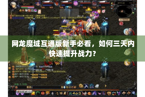 网龙魔域互通版新手必看，如何三天内快速提升战力？