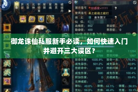 御龙诛仙私服新手必读，如何快速入门并避开三大误区？