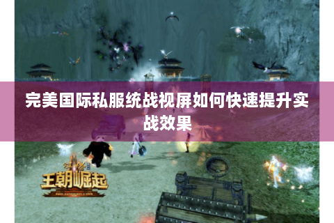 完美国际私服统战视屏如何快速提升实战效果