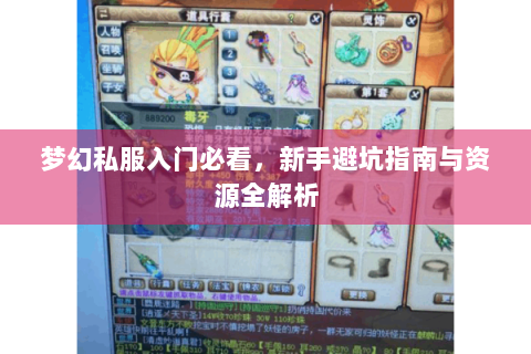 梦幻私服入门必看，新手避坑指南与资源全解析