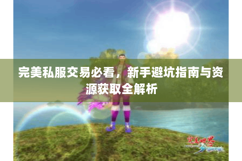 完美私服交易必看，新手避坑指南与资源获取全解析
