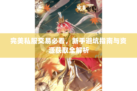 完美私服交易必看，新手避坑指南与资源获取全解析
