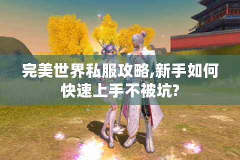 完美世界私服攻略,新手如何快速上手不被坑?