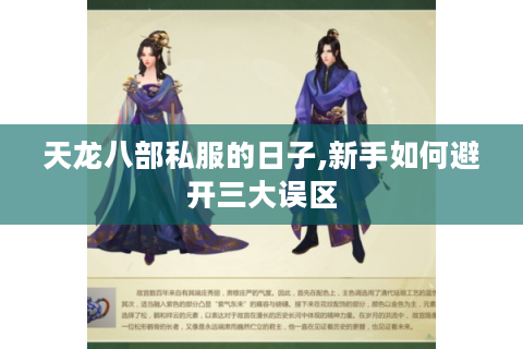 天龙八部私服的日子,新手如何避开三大误区