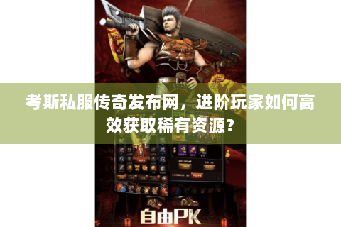 考斯私服传奇发布网，进阶玩家如何高效获取稀有资源？