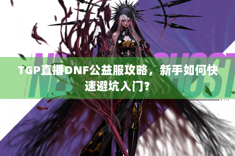 TGP直播DNF公益服攻略，新手如何快速避坑入门？