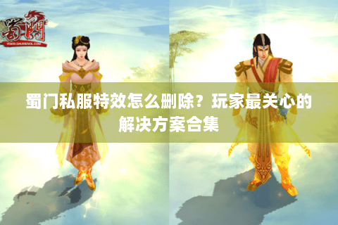蜀门私服特效怎么删除？玩家最关心的解决方案合集