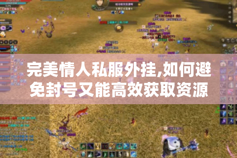 完美情人私服外挂,如何避免封号又能高效获取资源?