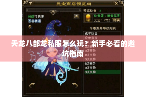 天龙八部龙私服怎么玩？新手必看的避坑指南