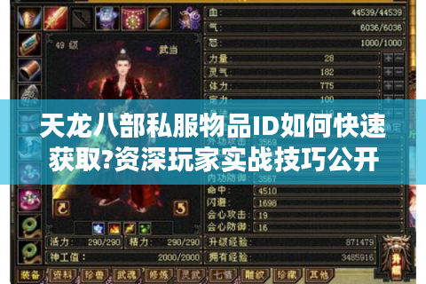 天龙八部私服物品ID如何快速获取?资深玩家实战技巧公开