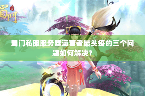 蜀门私服服务器运营者最头疼的三个问题如何解决？