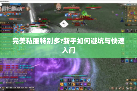 完美私服特别多?新手如何避坑与快速入门