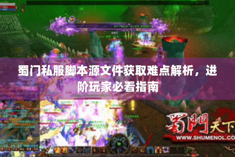 蜀门私服脚本源文件获取难点解析，进阶玩家必看指南