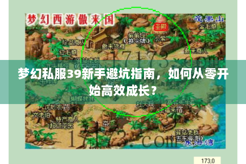 梦幻私服39新手避坑指南，如何从零开始高效成长？