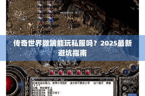 传奇世界微端能玩私服吗？2025最新避坑指南