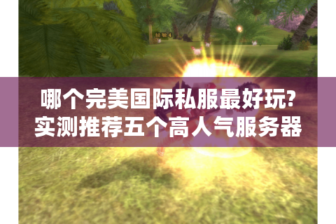 哪个完美国际私服最好玩?实测推荐五个高人气服务器