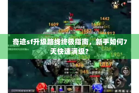 奇迹sf升级路线终极指南，新手如何7天快速满级？