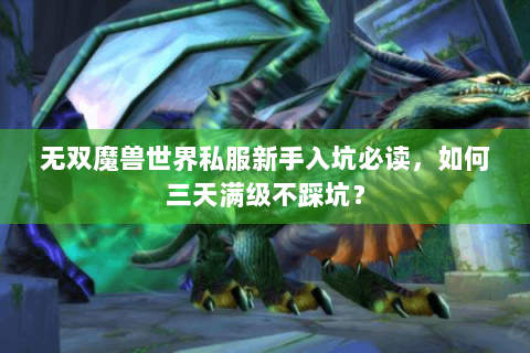 无双魔兽世界私服新手入坑必读，如何三天满级不踩坑？