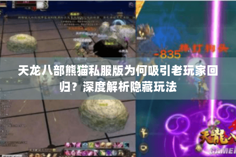 天龙八部熊猫私服版为何吸引老玩家回归？深度解析隐藏玩法
