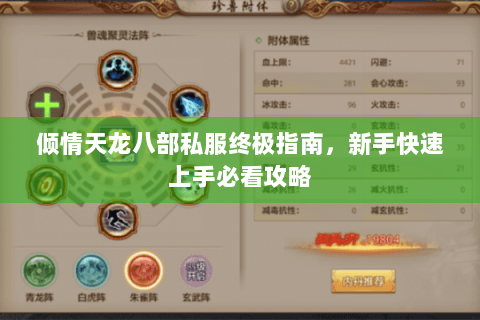 倾情天龙八部私服终极指南，新手快速上手必看攻略