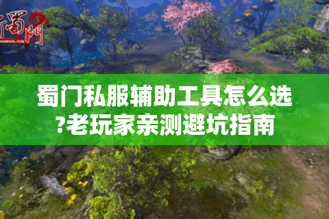 蜀门私服辅助工具怎么选?老玩家亲测避坑指南
