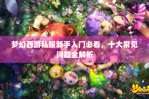 梦幻西游私服新手入门必看，十大常见问题全解析