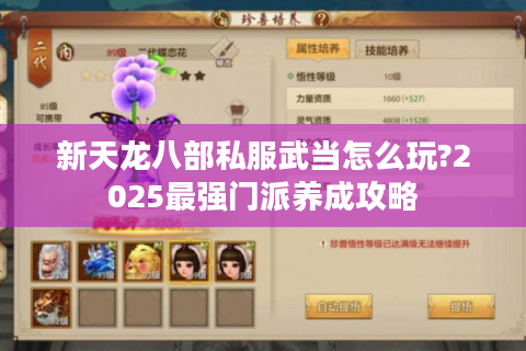新天龙八部私服武当怎么玩?2025最强门派养成攻略