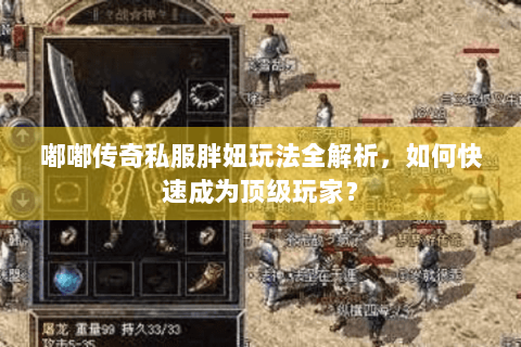 嘟嘟传奇私服胖妞玩法全解析，如何快速成为顶级玩家？