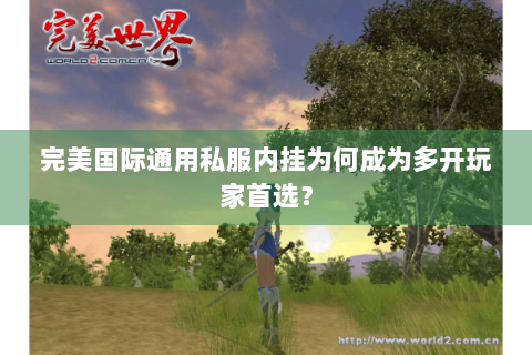 完美国际通用私服内挂为何成为多开玩家首选？