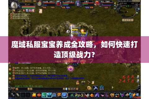 魔域私服宝宝养成全攻略，如何快速打造顶级战力？