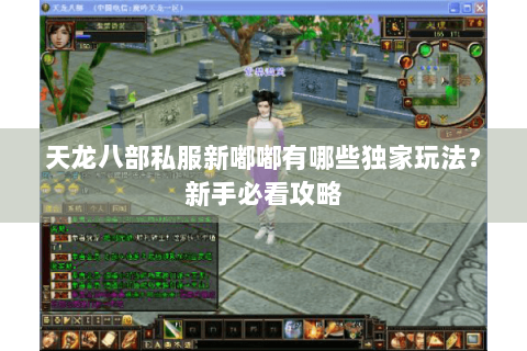 天龙八部私服新嘟嘟有哪些独家玩法？新手必看攻略