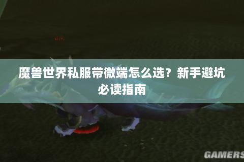 魔兽世界私服带微端怎么选？新手避坑必读指南