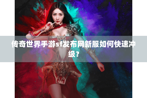 传奇世界手游sf发布网新服如何快速冲级？