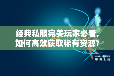 经典私服完美玩家必看,如何高效获取稀有资源?