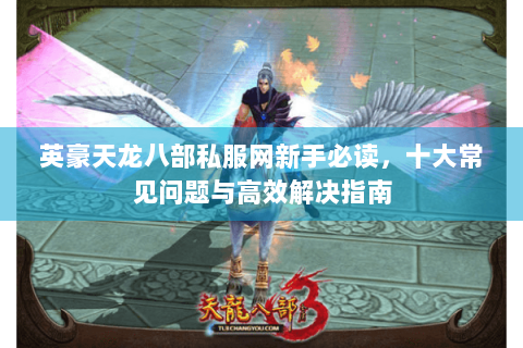 英豪天龙八部私服网新手必读，十大常见问题与高效解决指南