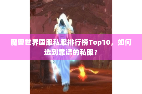 魔兽世界国服私服排行榜Top10，如何选到靠谱的私服？