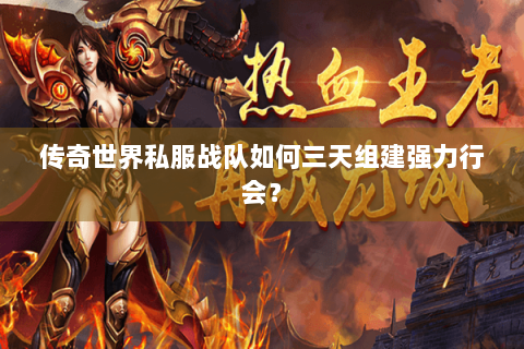 传奇世界私服战队如何三天组建强力行会？